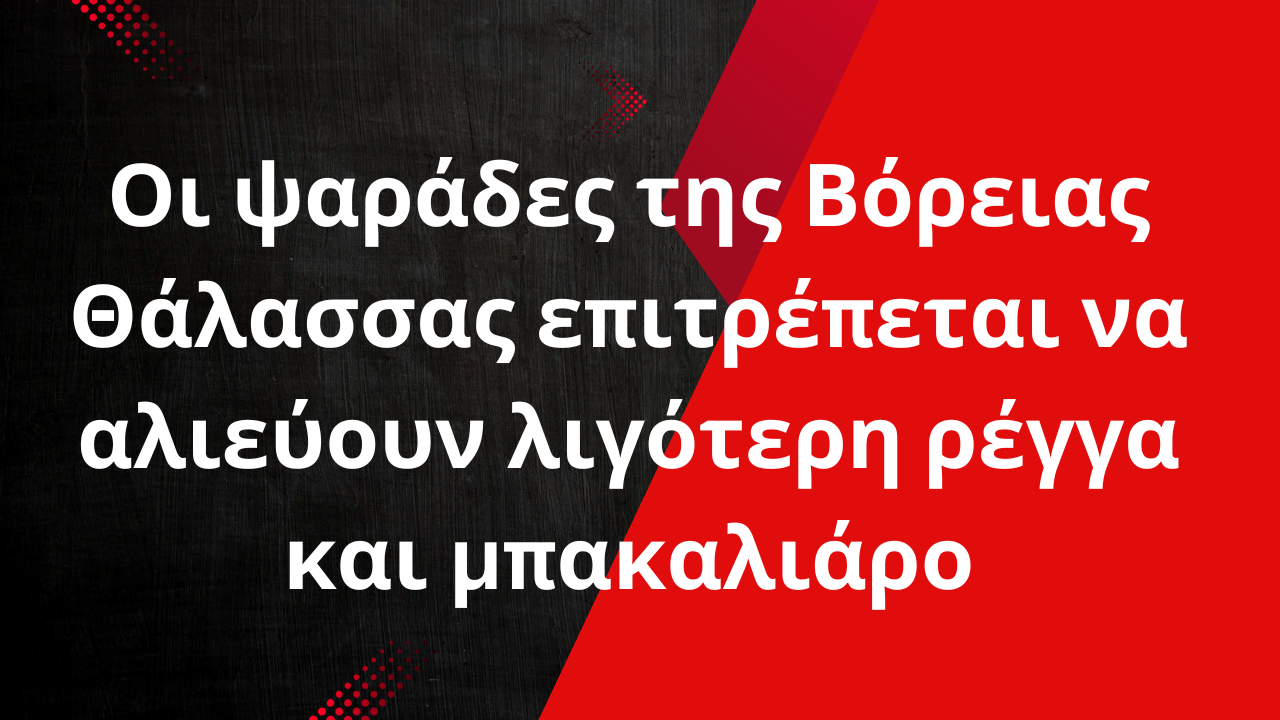 Οι ψαράδες της Βόρειας Θάλασσας επιτρέπεται να αλιεύουν λιγότερη ρέγγα και μπακαλιάρο